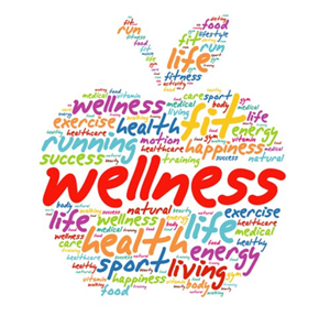 Wellness Policy picture with words that describe it!